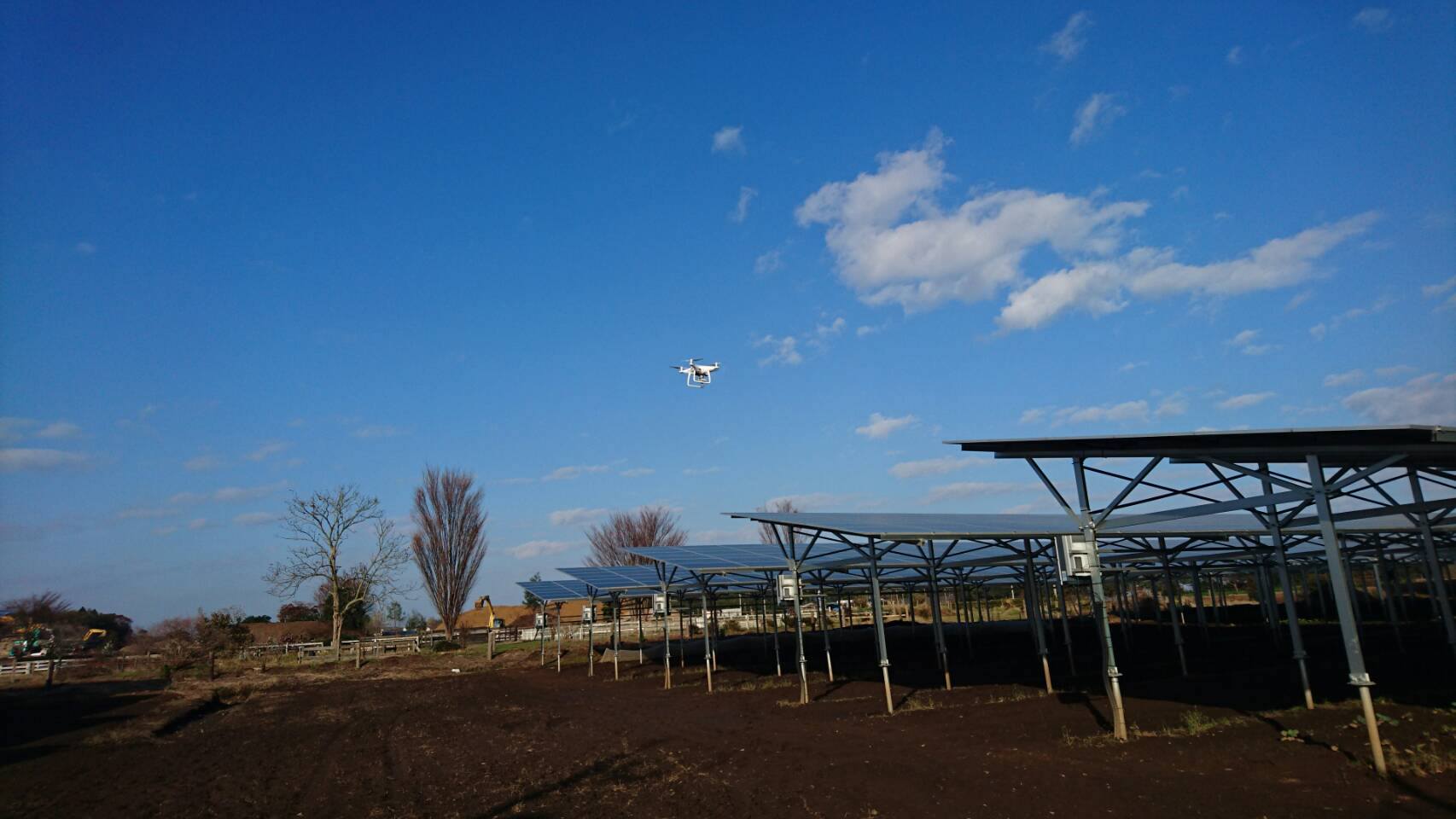 酒田に帰って来て