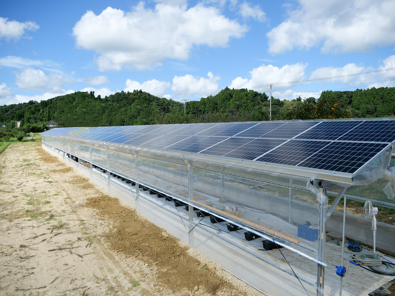 太陽光発電システム搭載”次世代農業用ソーラーハウス” が千葉県睦沢町に完成！